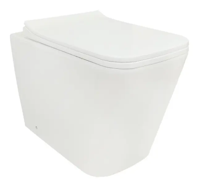 Vaso Sanit